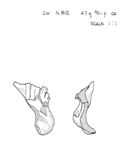 L_W16c9501 A07q0095 N812 cw x ca